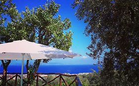 Villa Beatrice