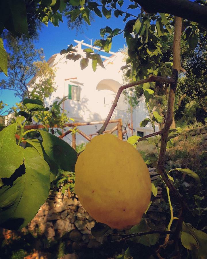 Villa Beatrice Sorrento Exterior foto