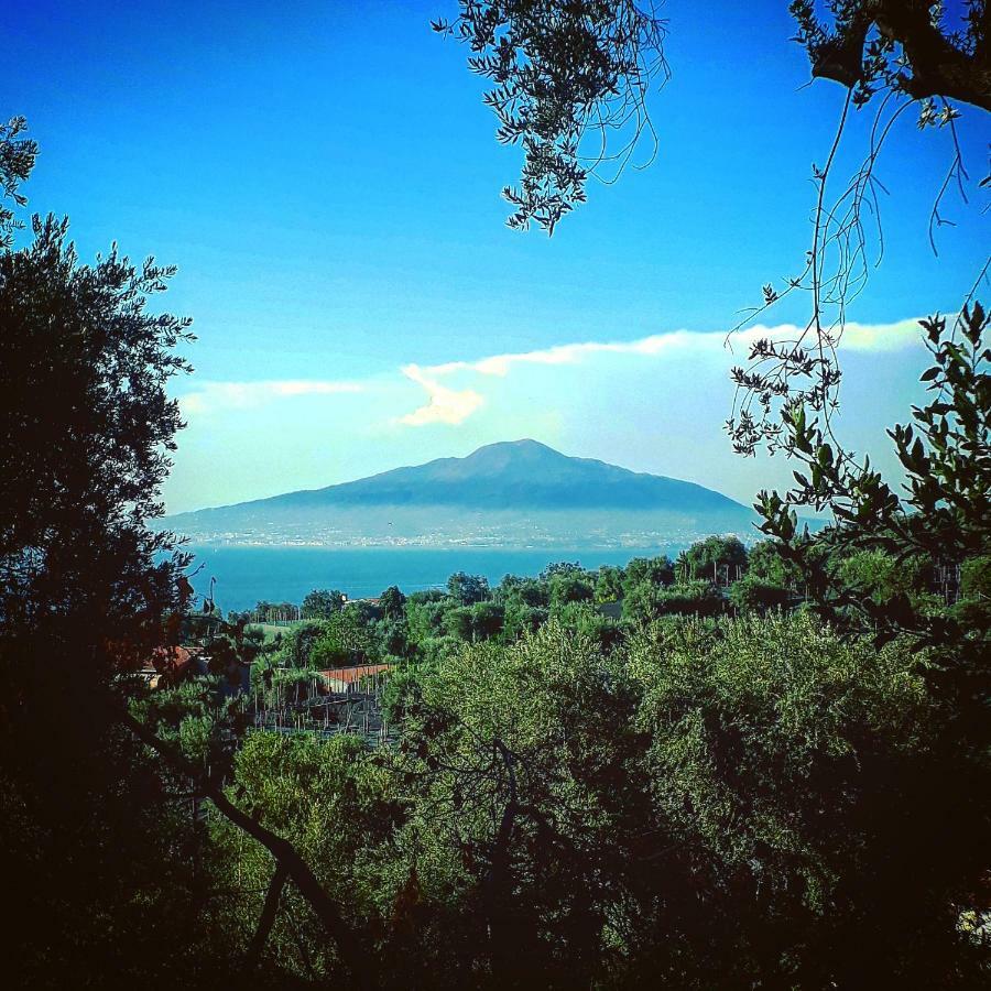 Villa Beatrice Sorrento Exterior foto